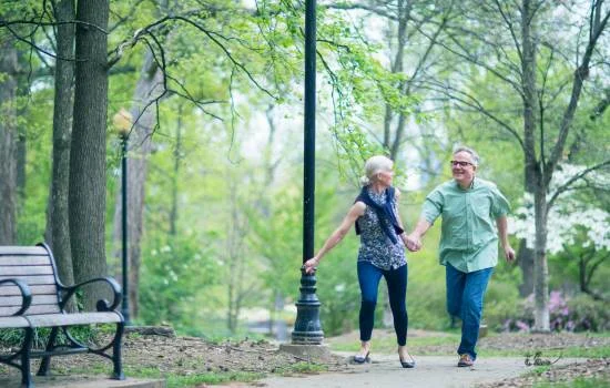 Pareja mayor caminando de la mano por un parque frondoso, disfrutando del momento mientras recuperar energía con aire puro y conexión mutua.