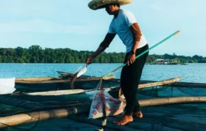 Pescador con sombrero alimentando peces en un lago, de pie sobre una estructura flotante con herramientas de pesca, ideal para ilustrar el uso de radares para pescar.