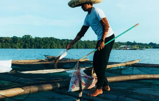 Pescador con sombrero alimentando peces en un lago, de pie sobre una estructura flotante con herramientas de pesca, ideal para ilustrar el uso de radares para pescar.