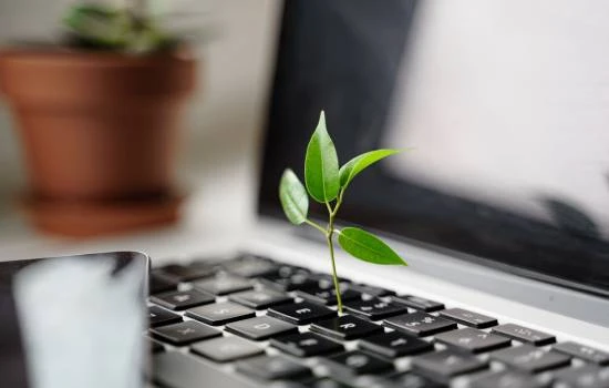 Computación Sostenible: El Futuro de la Tecnología con Menor Impacto Ambiental