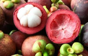 ¡Aprende ahora esta receta infalible para tu amigo peludo!