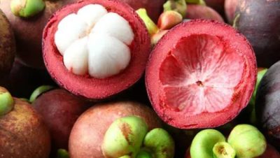 ¡Aprende ahora esta receta infalible para tu amigo peludo!