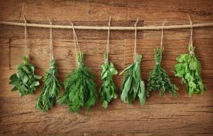 Tu mejor amigo con una receta natural