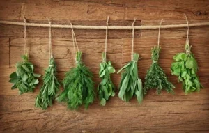 Tu mejor amigo con una receta natural