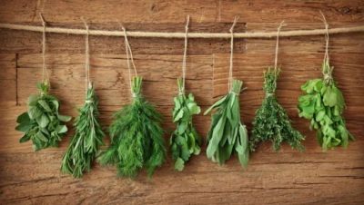 Tu mejor amigo con una receta natural