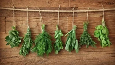 Tu mejor amigo con una receta natural